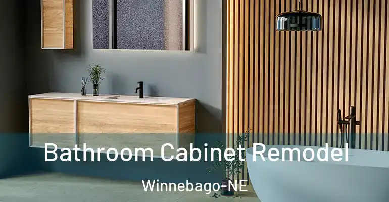 inner Bathroom imggen Bathroom Cabinet Remodel Winnebago-NE