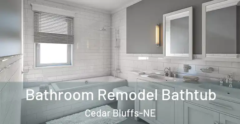 inner Bathroom imggen Bathroom Remodel Bathtub Cedar Bluffs-NE