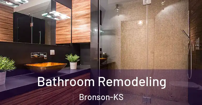 inner Bathroom imggen Bathroom Remodeling Bronson-KS