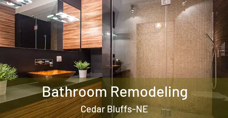 inner Bathroom imggen Bathroom Remodeling Cedar Bluffs-NE
