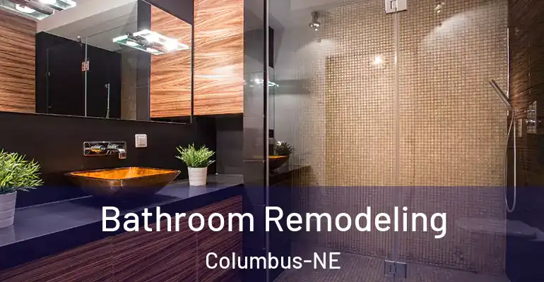 inner Bathroom imggen Bathroom Remodeling Columbus-NE