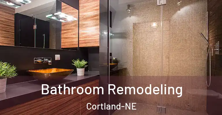 inner Bathroom imggen Bathroom Remodeling Cortland-NE