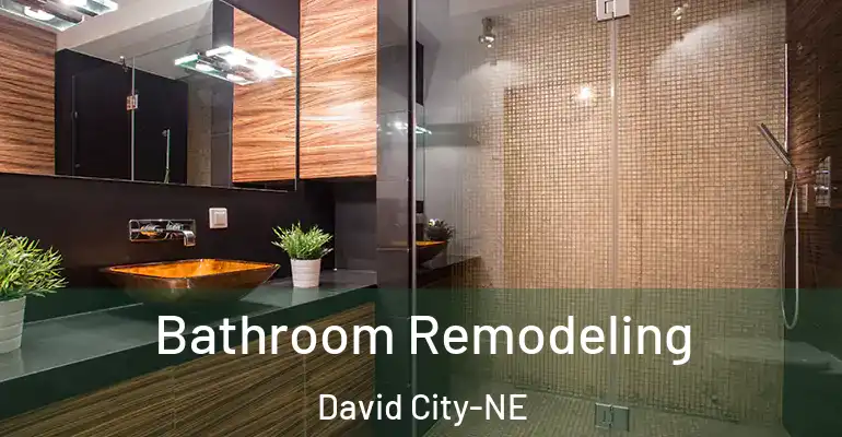 inner Bathroom imggen Bathroom Remodeling David City-NE