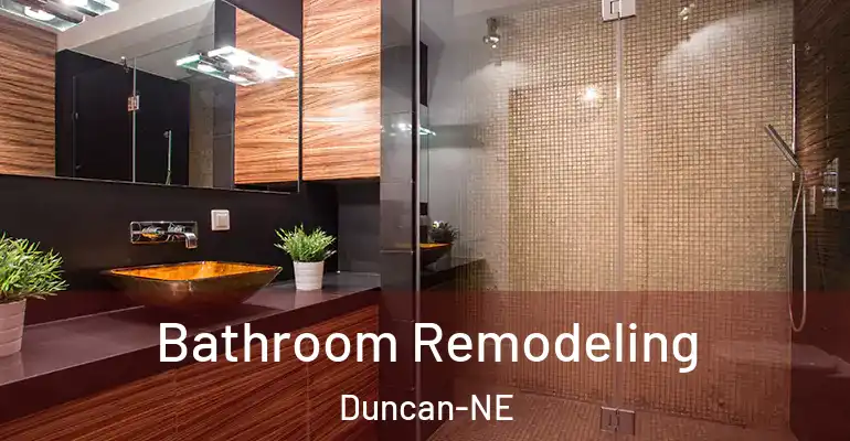 inner Bathroom imggen Bathroom Remodeling Duncan-NE