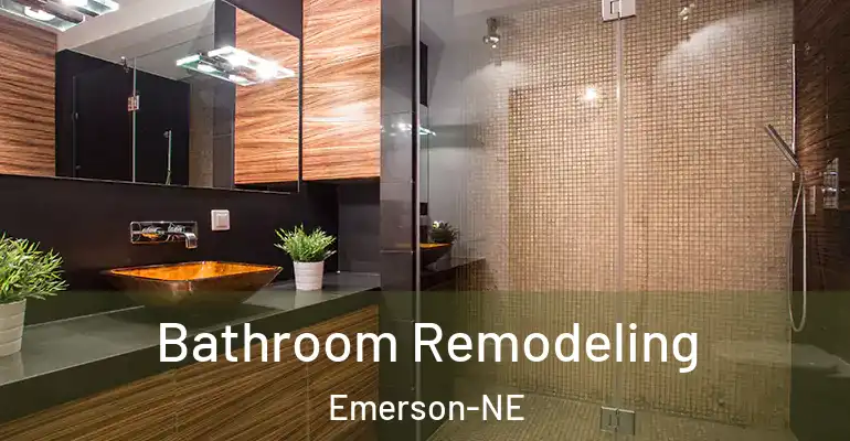inner Bathroom imggen Bathroom Remodeling Emerson-NE