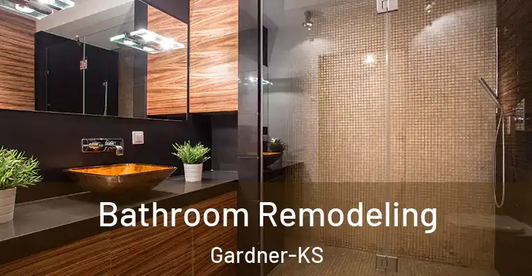inner Bathroom imggen Bathroom Remodeling Gardner-KS
