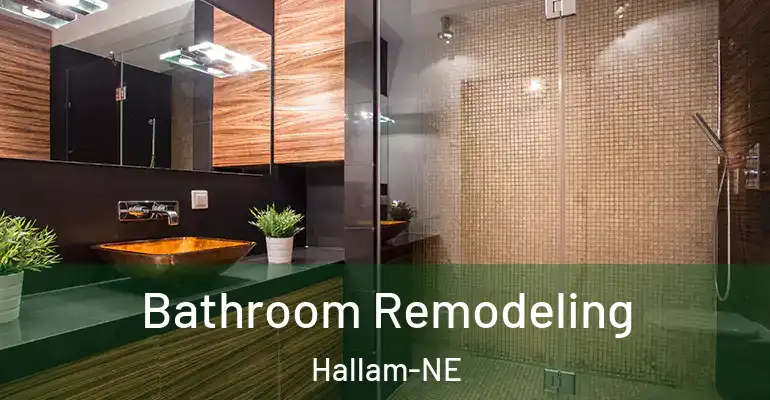 inner Bathroom imggen Bathroom Remodeling Hallam-NE