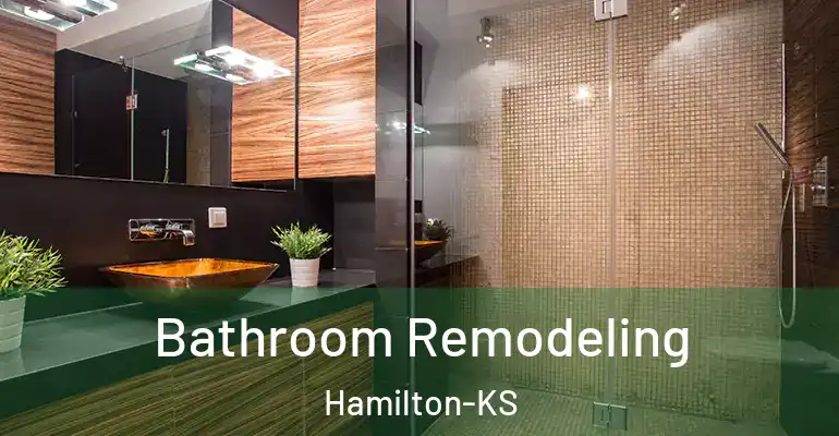 inner Bathroom imggen Bathroom Remodeling Hamilton-KS