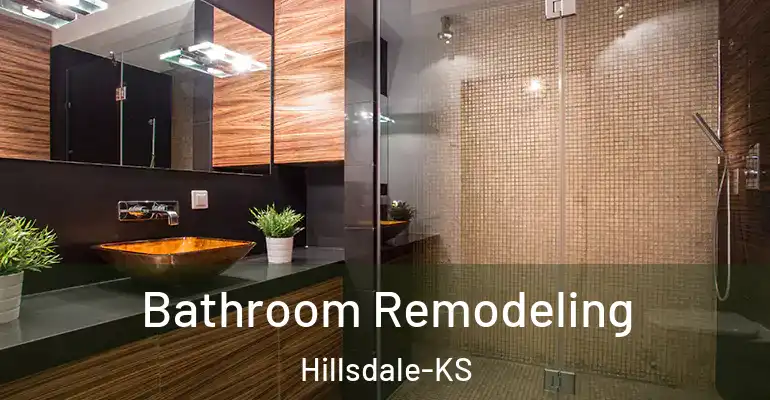 inner Bathroom imggen Bathroom Remodeling Hillsdale-KS