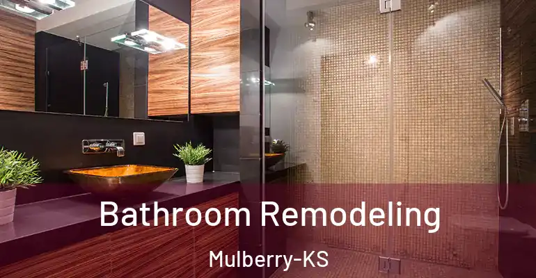 inner Bathroom imggen Bathroom Remodeling Mulberry-KS