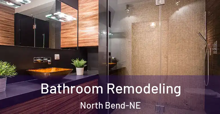 inner Bathroom imggen Bathroom Remodeling North Bend-NE