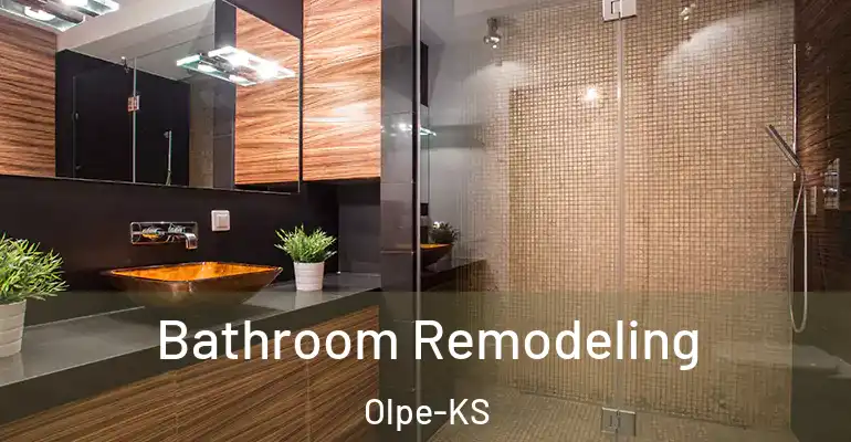inner Bathroom imggen Bathroom Remodeling Olpe-KS