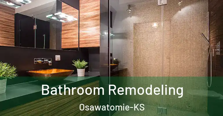 inner Bathroom imggen Bathroom Remodeling Osawatomie-KS