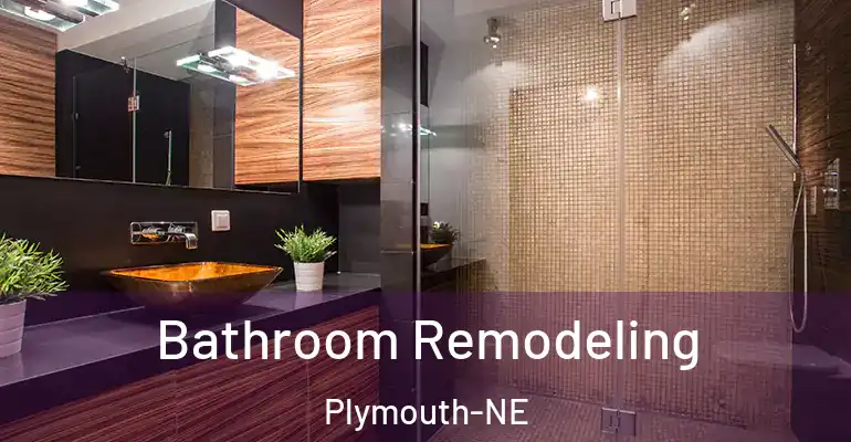 inner Bathroom imggen Bathroom Remodeling Plymouth-NE