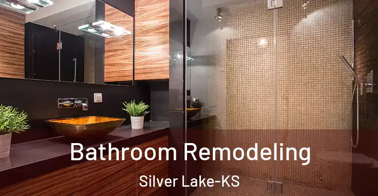 inner Bathroom imggen Bathroom Remodeling Silver Lake-KS