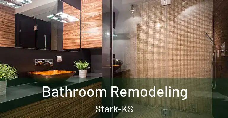 inner Bathroom imggen Bathroom Remodeling Stark-KS