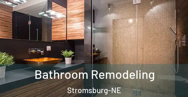 inner Bathroom imggen Bathroom Remodeling Stromsburg-NE
