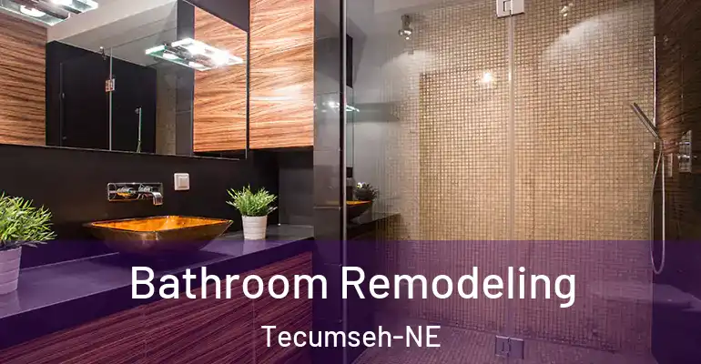 inner Bathroom imggen Bathroom Remodeling Tecumseh-NE