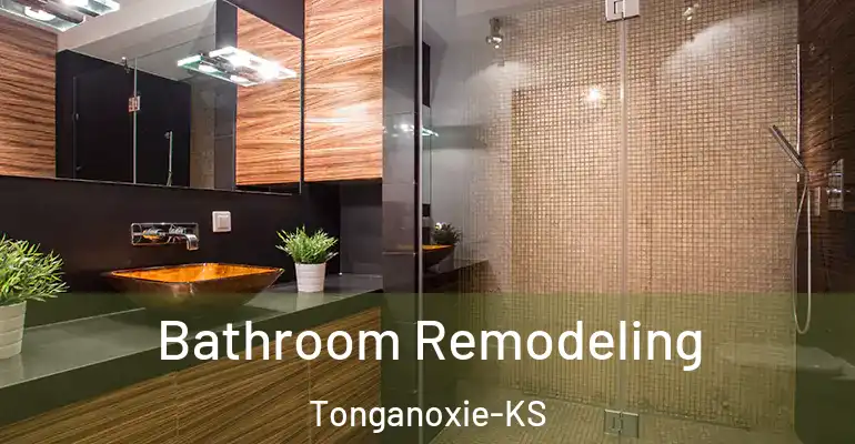 inner Bathroom imggen Bathroom Remodeling Tonganoxie-KS