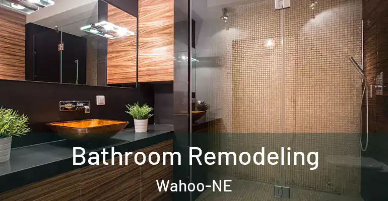 inner Bathroom imggen Bathroom Remodeling Wahoo-NE