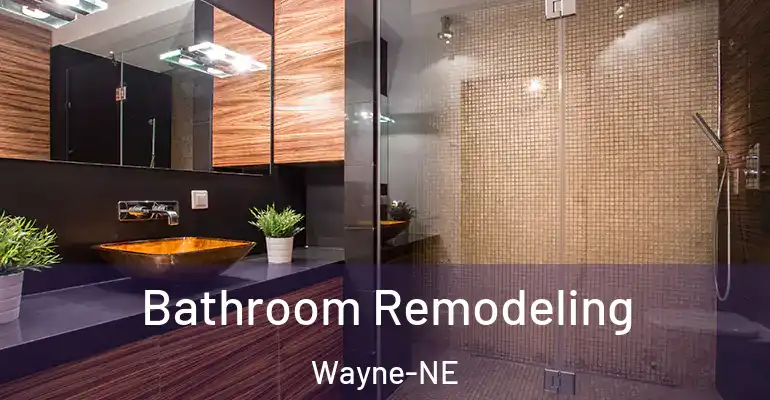 inner Bathroom imggen Bathroom Remodeling Wayne-NE