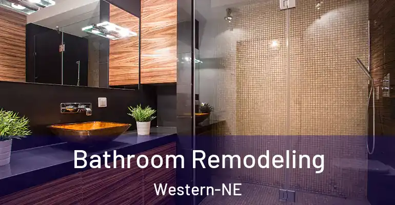 inner Bathroom imggen Bathroom Remodeling Western-NE