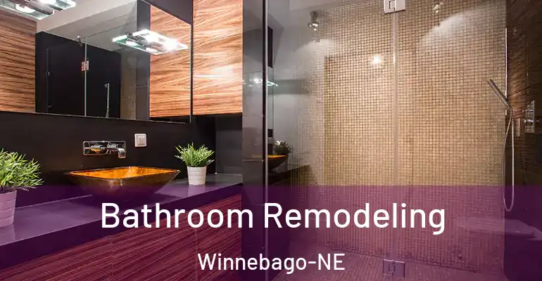 inner Bathroom imggen Bathroom Remodeling Winnebago-NE