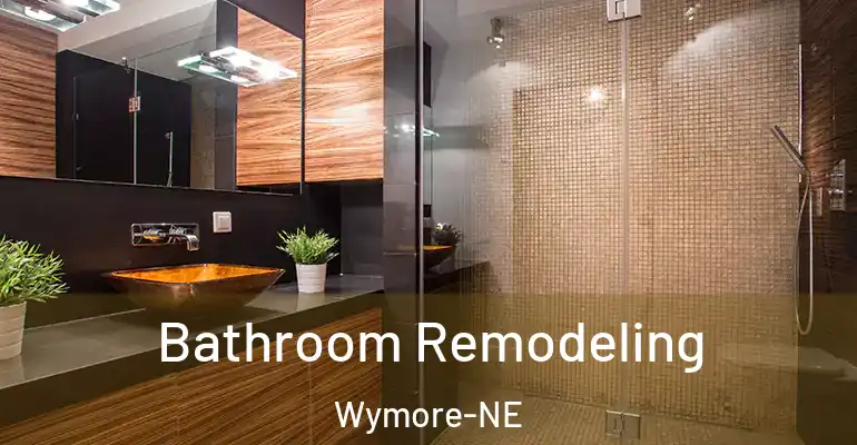 inner Bathroom imggen Bathroom Remodeling Wymore-NE