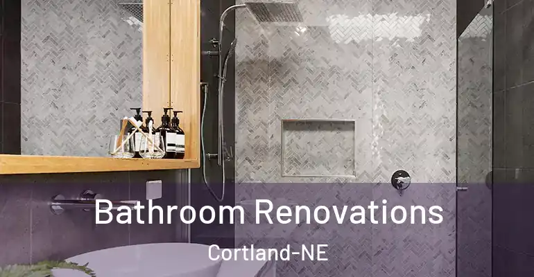 inner Bathroom imggen Bathroom Renovations Cortland-NE