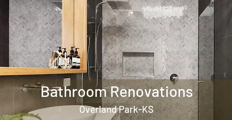 inner Bathroom imggen Bathroom Renovations Overland Park-KS