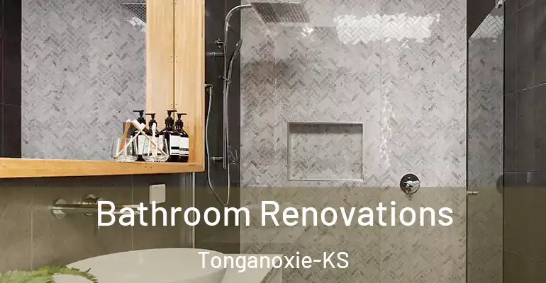 inner Bathroom imggen Bathroom Renovations Tonganoxie-KS