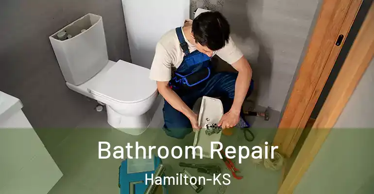 inner Bathroom imggen Bathroom Repair Hamilton-KS