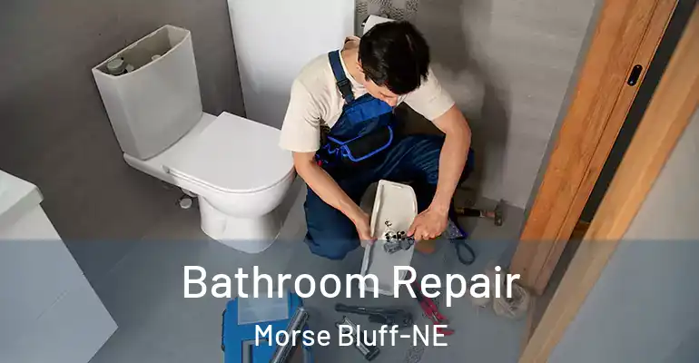 inner Bathroom imggen Bathroom Repair Morse Bluff-NE
