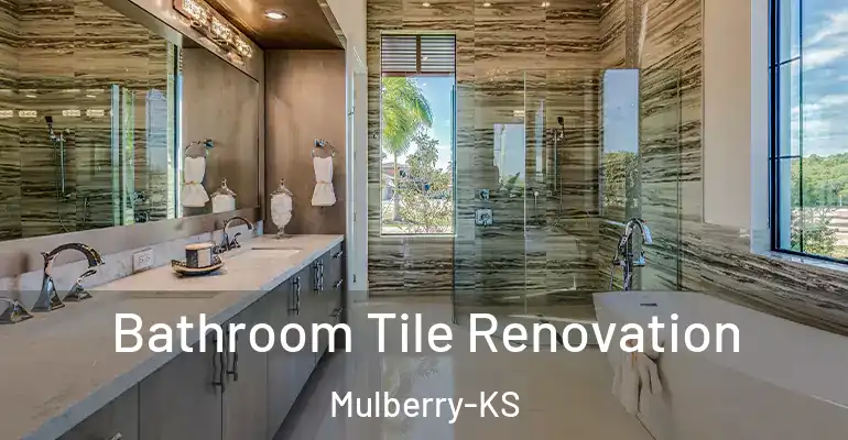 inner Bathroom imggen Bathroom Tile Renovation Mulberry-KS
