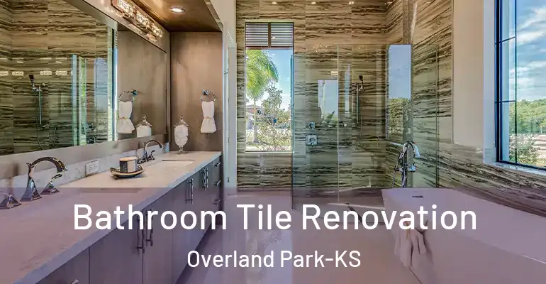 inner Bathroom imggen Bathroom Tile Renovation Overland Park-KS