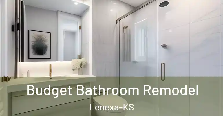 inner Bathroom imggen Budget Bathroom Remodel Lenexa-KS