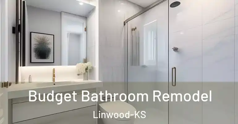 inner Bathroom imggen Budget Bathroom Remodel Linwood-KS