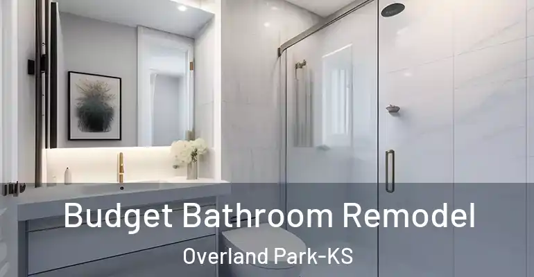 inner Bathroom imggen Budget Bathroom Remodel Overland Park-KS