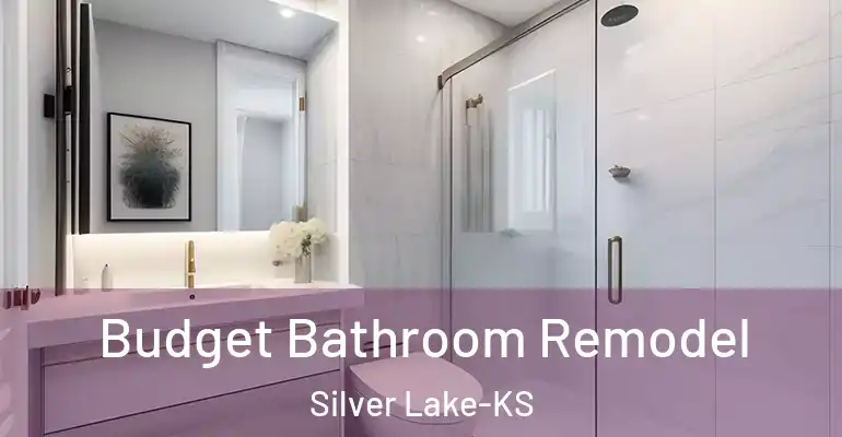 inner Bathroom imggen Budget Bathroom Remodel Silver Lake-KS