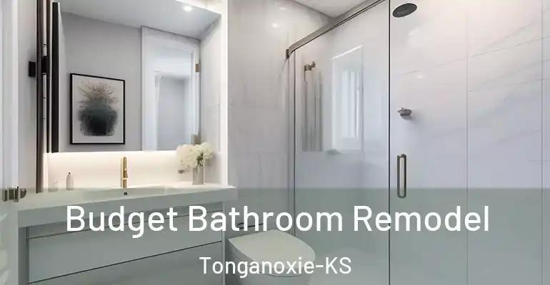 inner Bathroom imggen Budget Bathroom Remodel Tonganoxie-KS