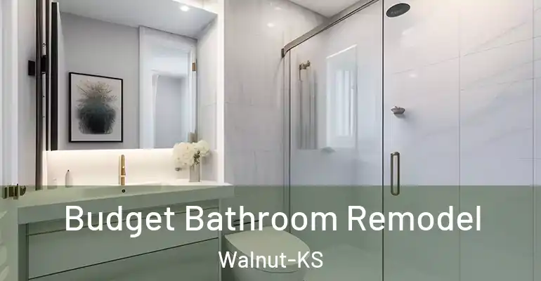 inner Bathroom imggen Budget Bathroom Remodel Walnut-KS