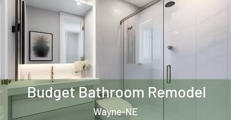inner Bathroom imggen Budget Bathroom Remodel Wayne-NE