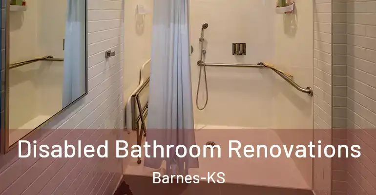 inner Bathroom imggen Disabled Bathroom Renovations Barnes-KS
