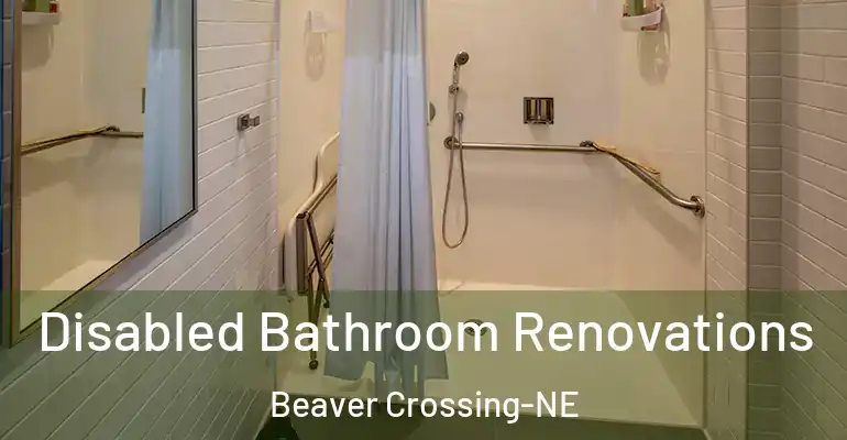 inner Bathroom imggen Disabled Bathroom Renovations Beaver Crossing-NE