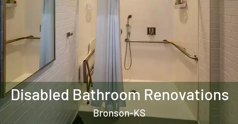 inner Bathroom imggen Disabled Bathroom Renovations Bronson-KS