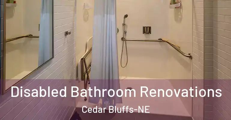 inner Bathroom imggen Disabled Bathroom Renovations Cedar Bluffs-NE