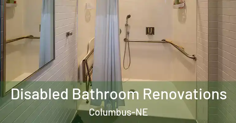 inner Bathroom imggen Disabled Bathroom Renovations Columbus-NE