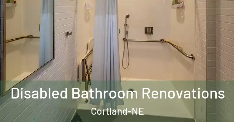 inner Bathroom imggen Disabled Bathroom Renovations Cortland-NE