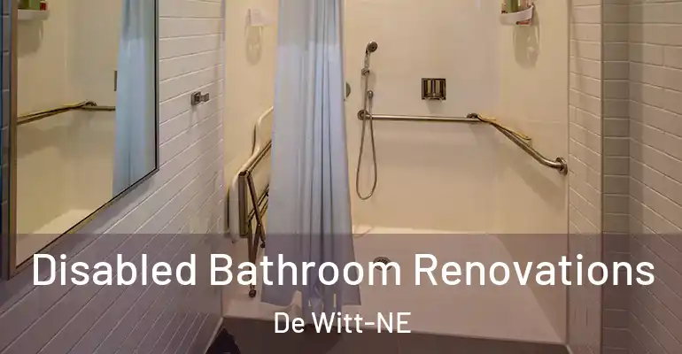 inner Bathroom imggen Disabled Bathroom Renovations De Witt-NE