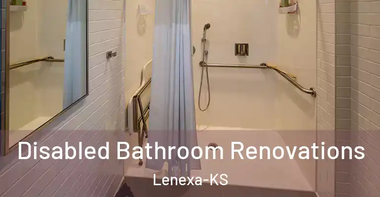 inner Bathroom imggen Disabled Bathroom Renovations Lenexa-KS